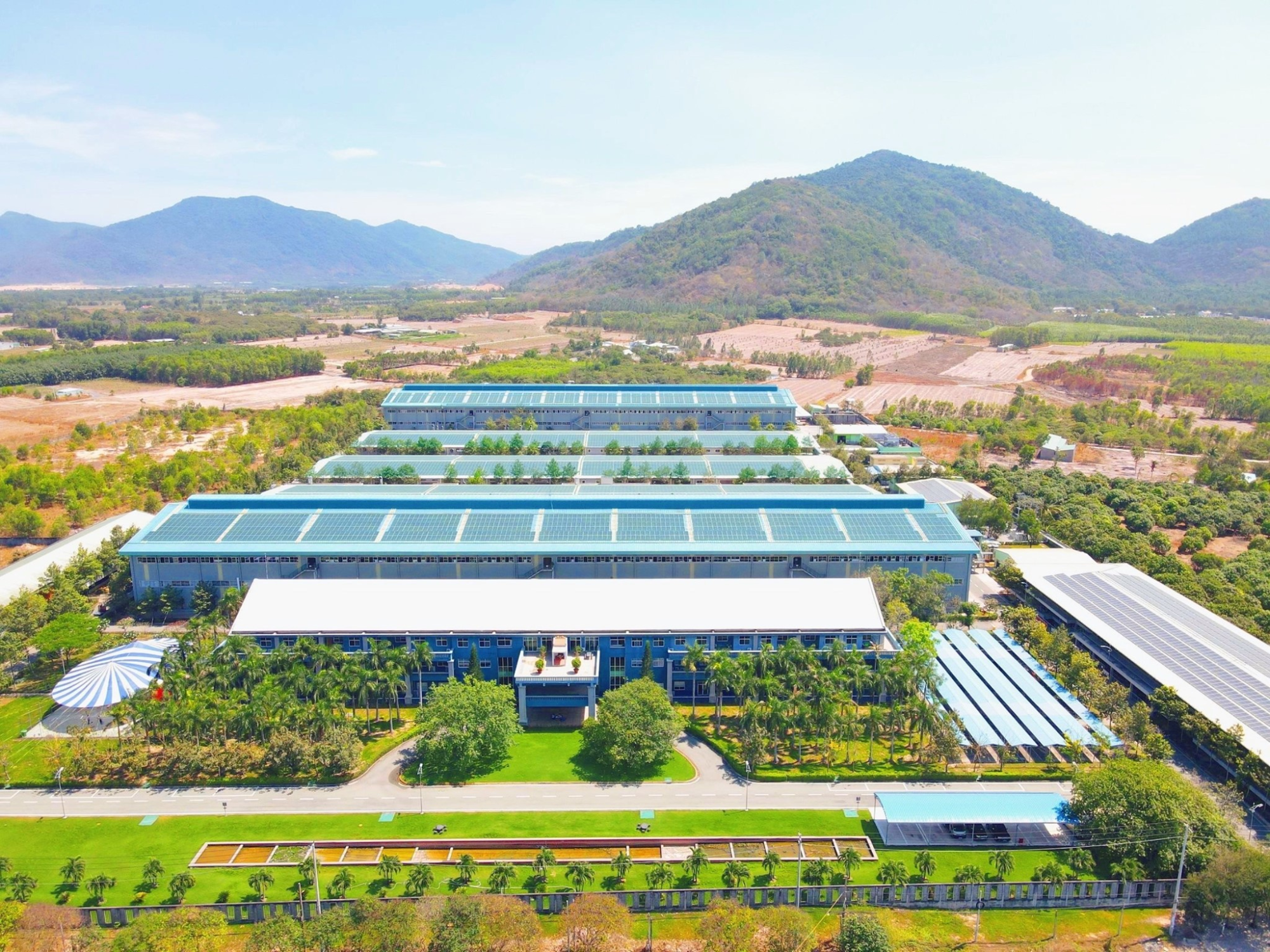 CÔNG TY TNHH QUỐC TẾ ALL WELLS VIỆT NAM