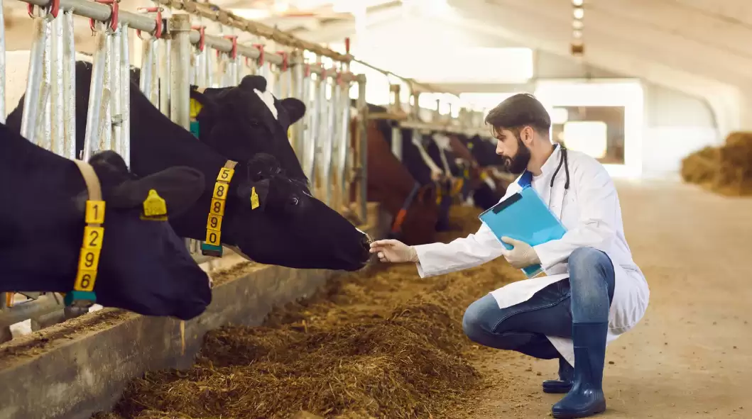 RFID Cho Chăn Nuôi