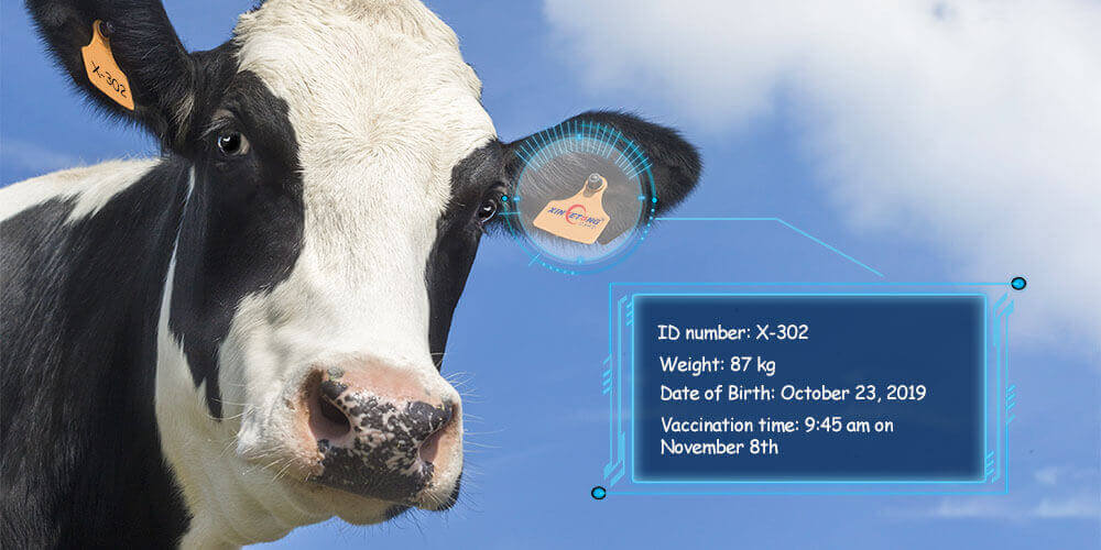 Truy xuất nguồn gốc thực phẩm RFID giúp thực phẩm an toàn hơn rfid-thuc-pham-ba