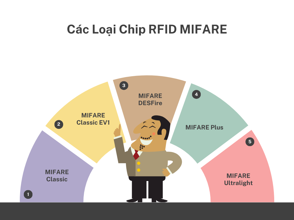Làm Thế Nào Để Chọn Đúng Chip RFID MIFARE? MIFARE S50 Hay S70 Hay Siêu Nhẹ C? Thông Tin Chi Tiết cac-loai-mifare-chip