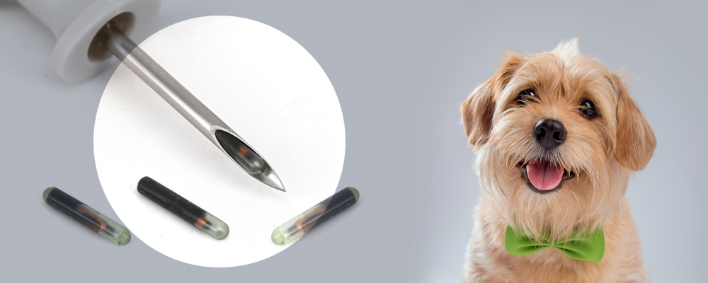 Thẻ RFID có bao nhiêu loại? Bao gồm những loại nào? ong-thuy-tinh