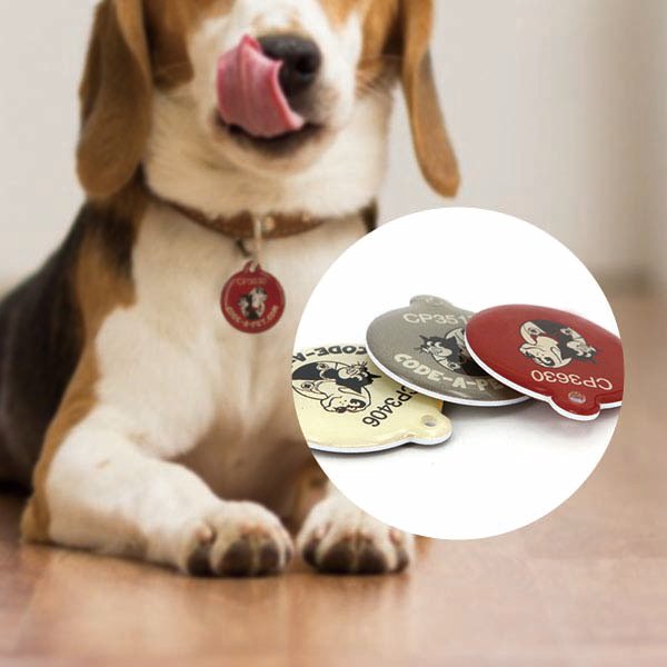 Theo dõi và nhận diện động vật qua công nghệ RFID rfid-epoxy