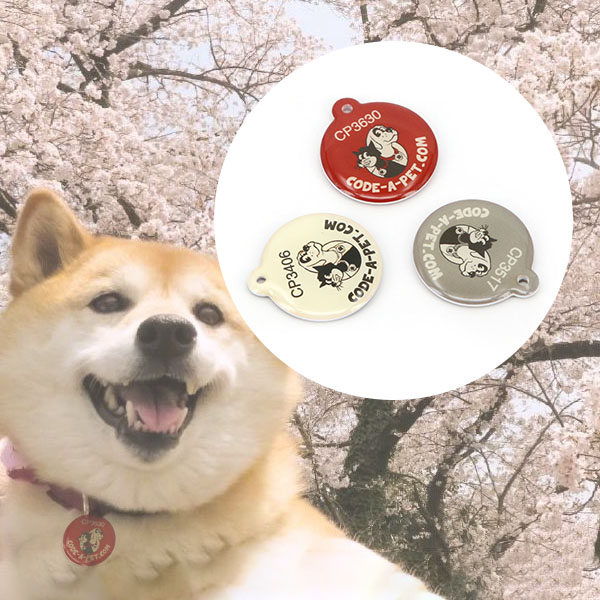 RFID CÓ THỂ NHẬN DẠNG ĐƯỢC NHỮNG GÌ? NHAN-DANG-10