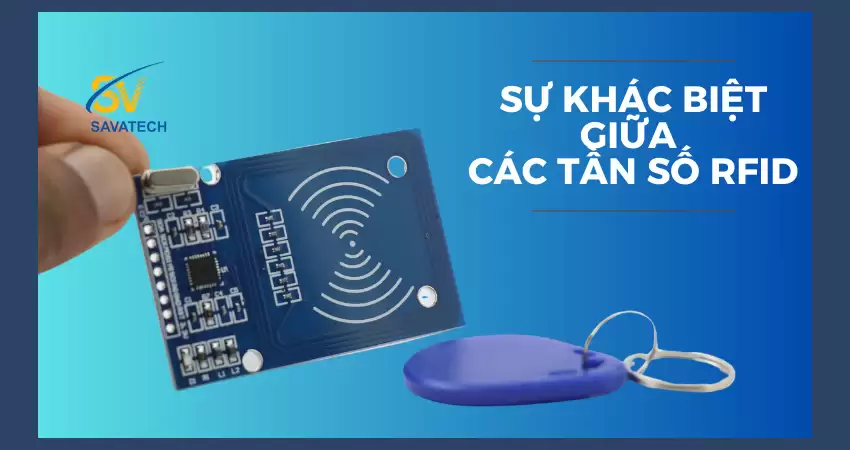 SỰ KHÁC BIỆT GIỮA CÁC TẦN SỐ RFID
