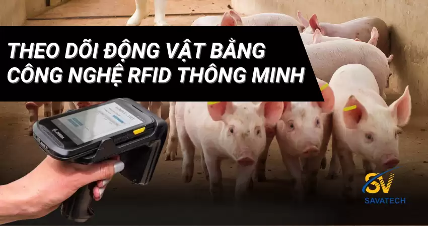THEO DÕI ĐỘNG VẬT BẰNG CÔNG NGHỆ RFID THÔNG MINH